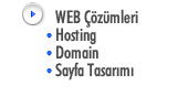 WEB Çözümleri