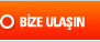 Bize Ulan