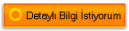 Detayl Bilgi stiyorum